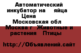 Автоматический инкубатор на 24 яйца › Цена ­ 3 500 - Московская обл., Москва г. Животные и растения » Птицы   
